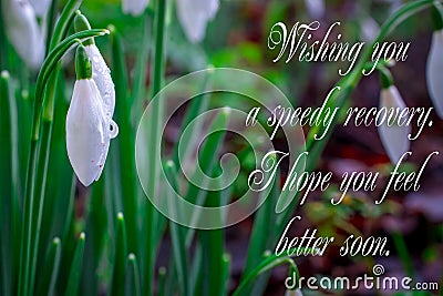 Get well soon, white flowers with text feel better soon Stock Photo