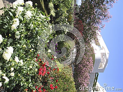 The Getty Museum Gardens Editorial Stock Photo