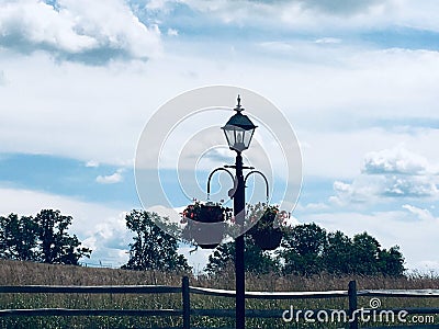 Gettysburg, Pennsylvania, lightpost on walkway with hanging plants Stock Photo
