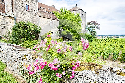 Gevrey-Chambertin Castle, Cote de Nuits, Burgundy, France Stock Photo
