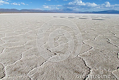 Gexagonal texture of salt at the surface of Uyuni Salar, Bolivia Stock Photo