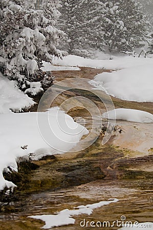 Geyser in Winter Stock Photo