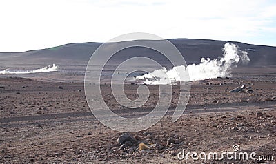 Geysers in Bolivia Stock Photo