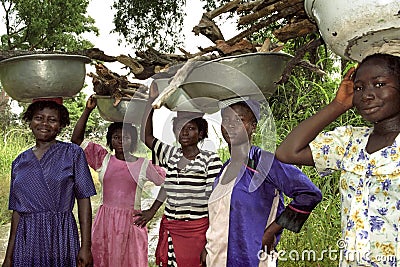 Ghanaian Women carry firewood on their heads Editorial Stock Photo