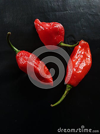 Ghost chilli the hottest chilli pepper Stock Photo