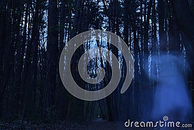 Ghost dancing a haunted dance in the forest Stock Photo