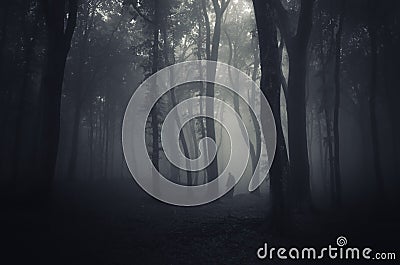 Ghost in a dark scary mysterious forest on Halloween Stock Photo