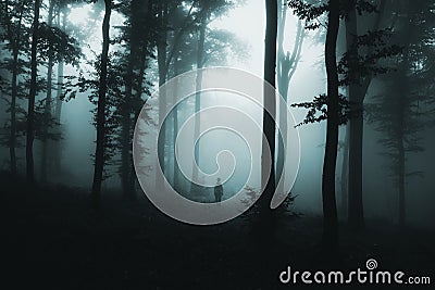 Ghost in the fog in dark spooky woods Stock Photo