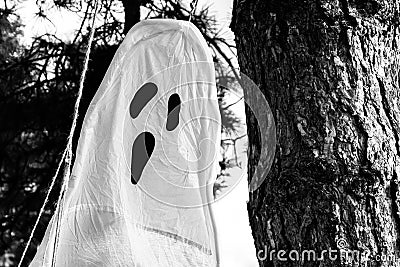 Ghost screams Stock Photo
