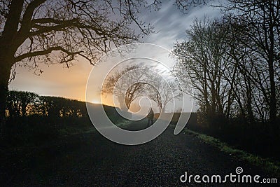 A ghostly transparent hooded figure. Standing on a spooky country road. On a foggy winters night Stock Photo