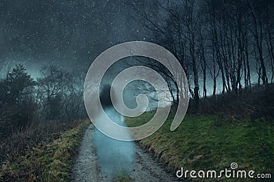 A ghostly transparent woman. Floating above a track on a the edge of a forest. On an atmospheric winters night. With a grunge, Stock Photo