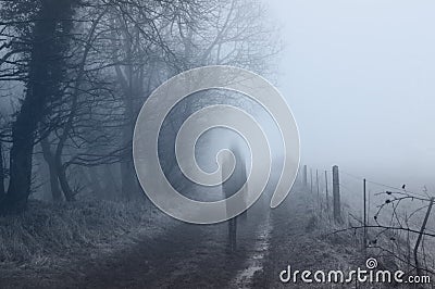 A ghostly woman walking along a country path on a spooky misty winters day. With a cold, blue edit. Stock Photo