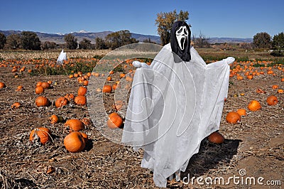 Ghoulish screaming Halloween scarecrow Stock Photo