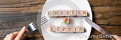 Ghrelin And Leptin Hunger Hormons. Diet Stock Photo