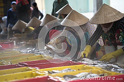 An Giang, Vietnam - Dec 6, 2016: Caught fishes with Vietnamese women working at Tac Cau fishing port at dawn, Me Kong delta provin Editorial Stock Photo