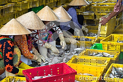 An Giang, Vietnam - Dec 6, 2016: Caught fishes with Vietnamese women working at Tac Cau fishing port at dawn, Me Kong delta provin Editorial Stock Photo