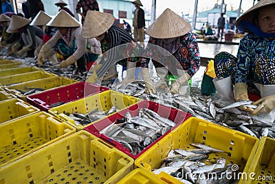 An Giang, Vietnam - Dec 6, 2016: Caught fishes with Vietnamese women working at Tac Cau fishing port at dawn, Me Kong delta Editorial Stock Photo