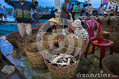 An Giang, Vietnam - Dec 6, 2016: Caught fishes and working activities in Tac Cau fishing port at dawn, Me Kong delta province of K Editorial Stock Photo