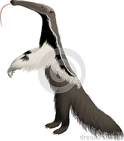 Giant Anteater Cartoon Vector Illustration Vector Illustration