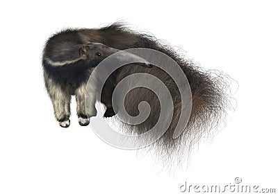 Giant Anteater Stock Photo