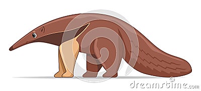 Giant anteater standing on a white background Vector Illustration