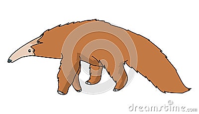 Giant Anteater vector illustration Vector Illustration