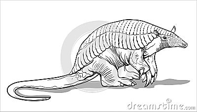 A giant armadillo with thick legs stands on the ground. Big fat animal. Coloring page for children and adults, hand drawn Vector Illustration