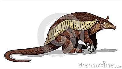 A giant armadillo with thick legs stands on the ground. Big fat animal. Mouse, a rodent with a long tail. Isolate, full color with Vector Illustration