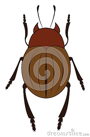 A brown beetle with six legs vector or color illustration Vector Illustration