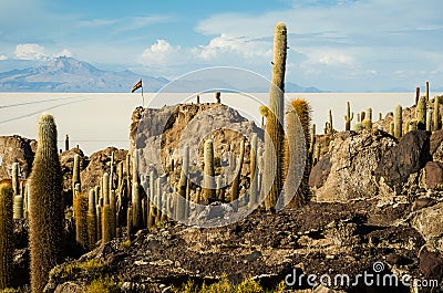 Cactus island in the Bolivian salt flat of Uyuni Stock Photo