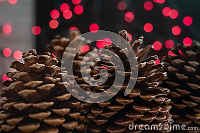 Giant Christmas pinecones Jeffrey Pine Cones in front of red bokeh Christmas Lights Stock Photo