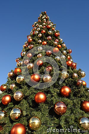 Giant Christmas Tree Stock Photo