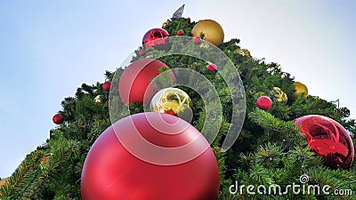 Giant Christmas Tree with Red and Gold Decorative Balls viewed from Bottom Stock Photo