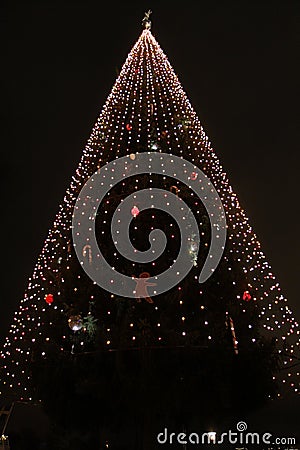 Giant Christmas tree in Stockholm Stock Photo