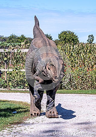 Giant dinosaur walking around a farm Editorial Stock Photo