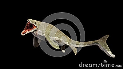 Liopleurodon, extinct giant aquatic lizard 3d illustration isolated on black background Stock Photo