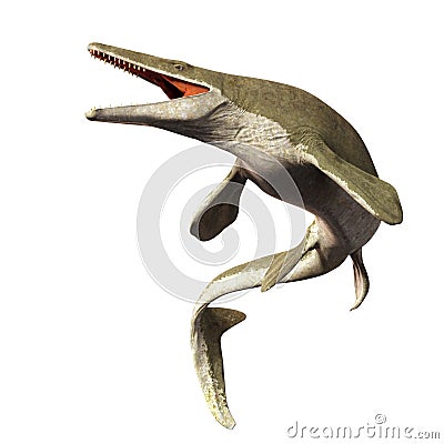 Mosasaurus, 17m aquatic lizard, between 70 and 66 million years ago 3d illustration isolated on white background Stock Photo