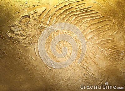 Giant fish fossils Stock Photo