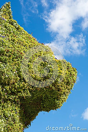 The giant floral sculpture 'Puppy' by Jeff Koons Editorial Stock Photo