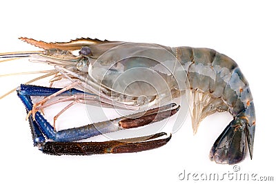 Giant freshwater prawn, Fresh shrimp isolate on white background Stock Photo