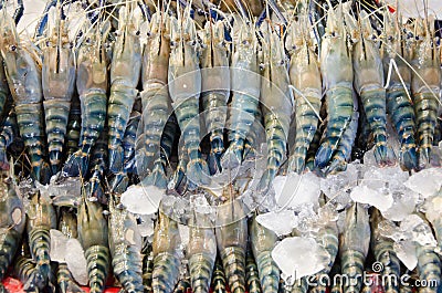 Giant freshwater prawn with ice in thai market Stock Photo