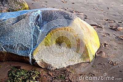 Giant gray stone on a wet sandy beach Stock Photo