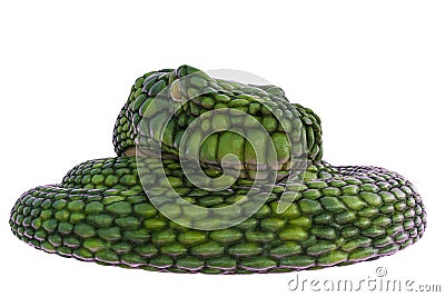 Giant green snake in a white background Stock Photo