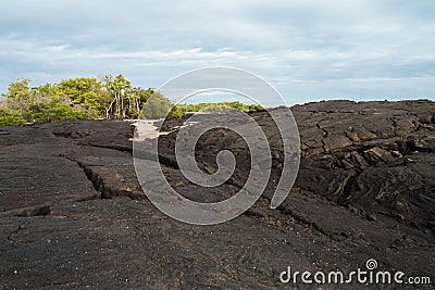 Giant lava flow with ropy pahoehoe on Fernandina Stock Photo