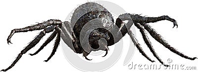 Giant Monster Spider, Insect, Isolated Cartoon Illustration