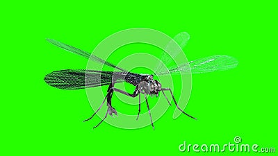 giant mosquito mutant 3d render Stock Photo