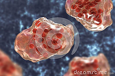 Giant multinucleated cells Cartoon Illustration