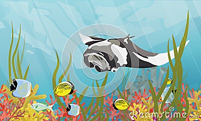 A giant oceanic manta ray floats over the seabed with corals, tropical fish and algae. Vector Illustration