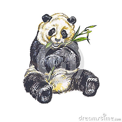 Giant panda Stock Photo