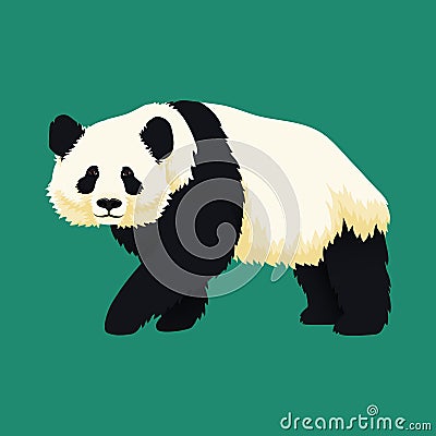 Giant panda walking. Black and white bear. Endangered species. Vector Illustration